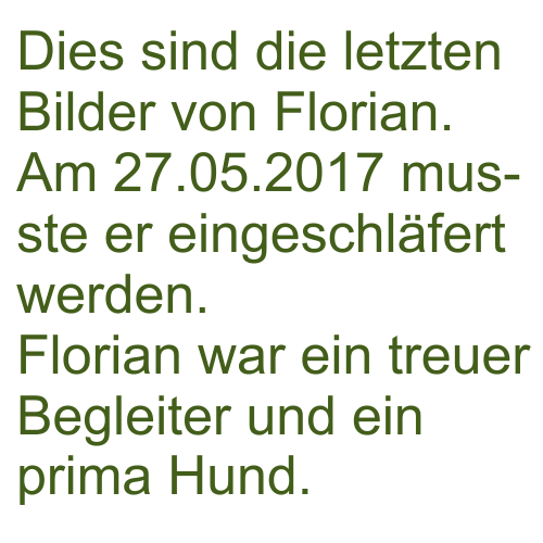 Florian